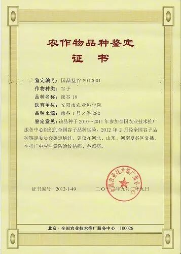 安阳农科院—以工匠精神做农研