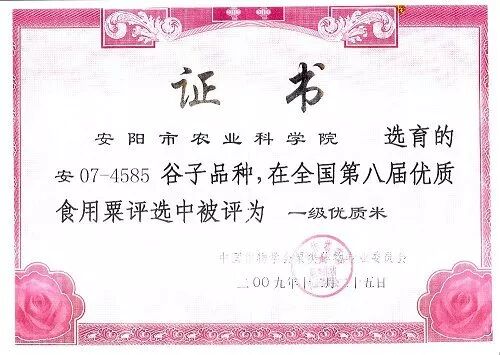 安阳农科院—以工匠精神做农研