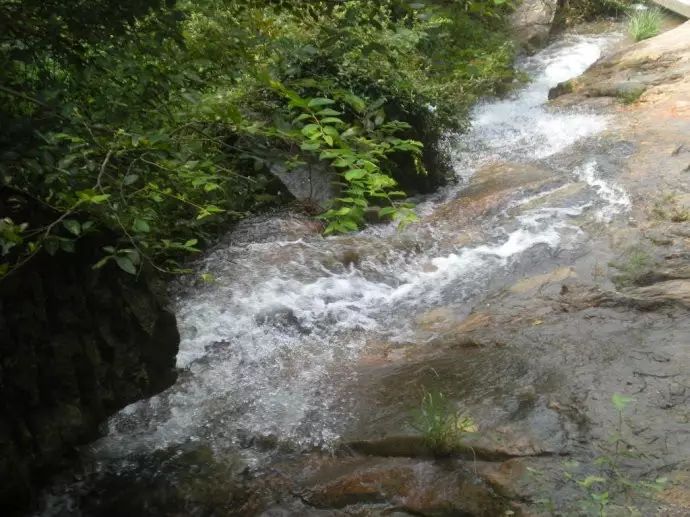 浮槎山,動植物資源的寶庫