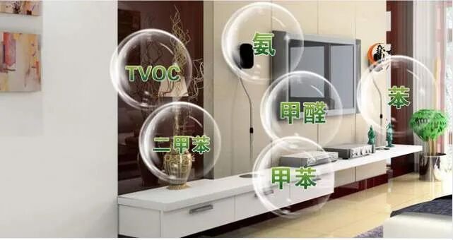 除甲醛公司