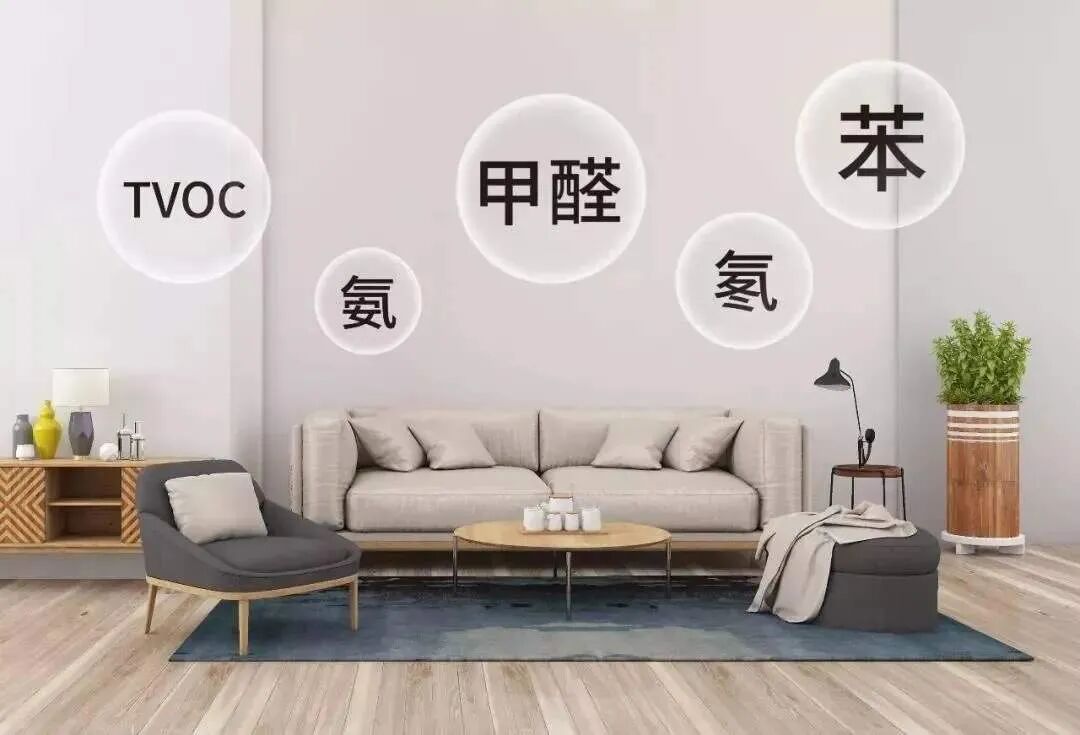 除甲醛公司