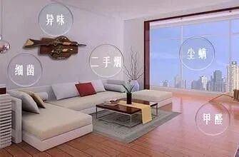 除甲醛公司