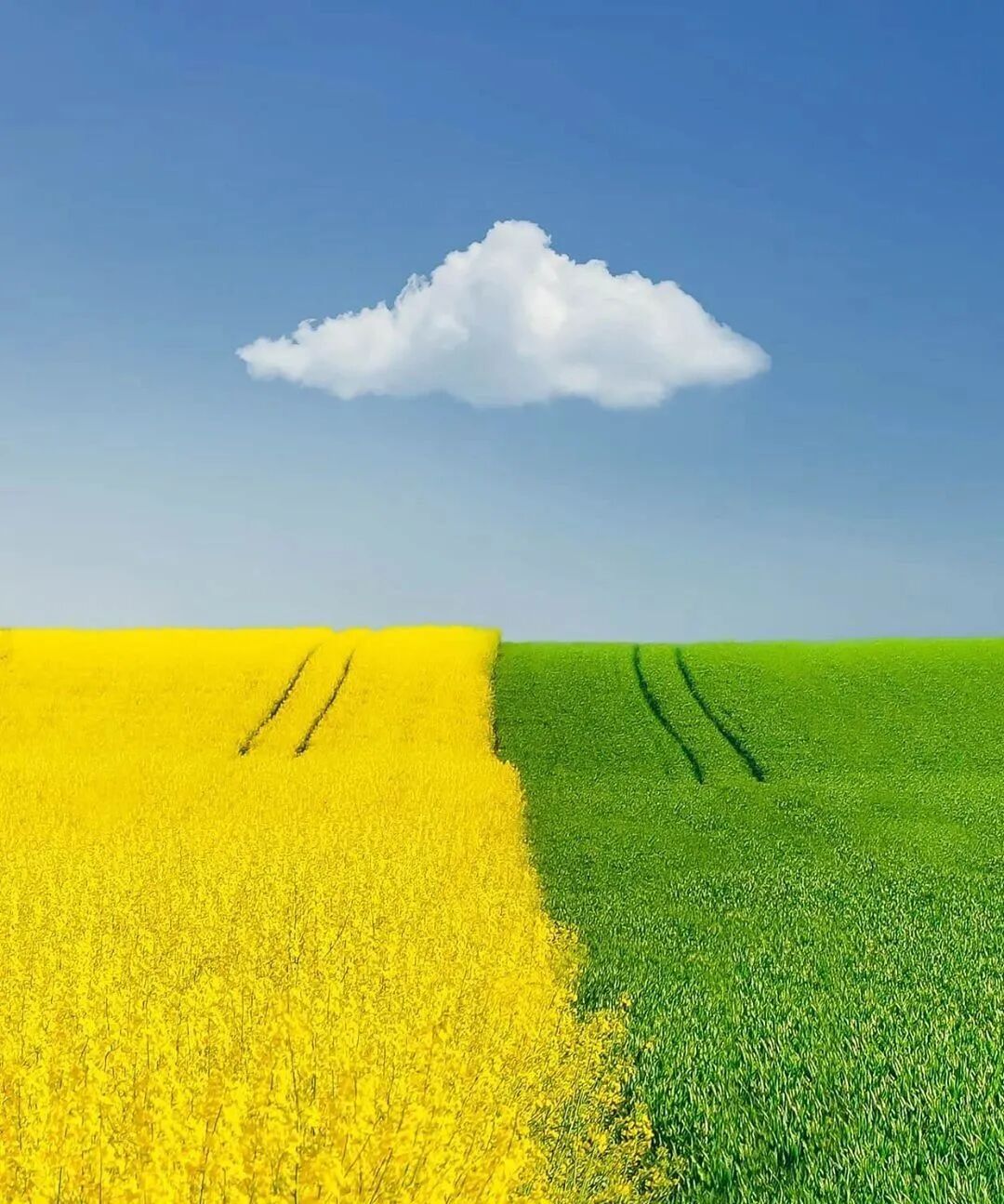 640?wx_fmt=jpeg&tp=webp&wxfrom=5&wx_lazy=1&wx_co=1