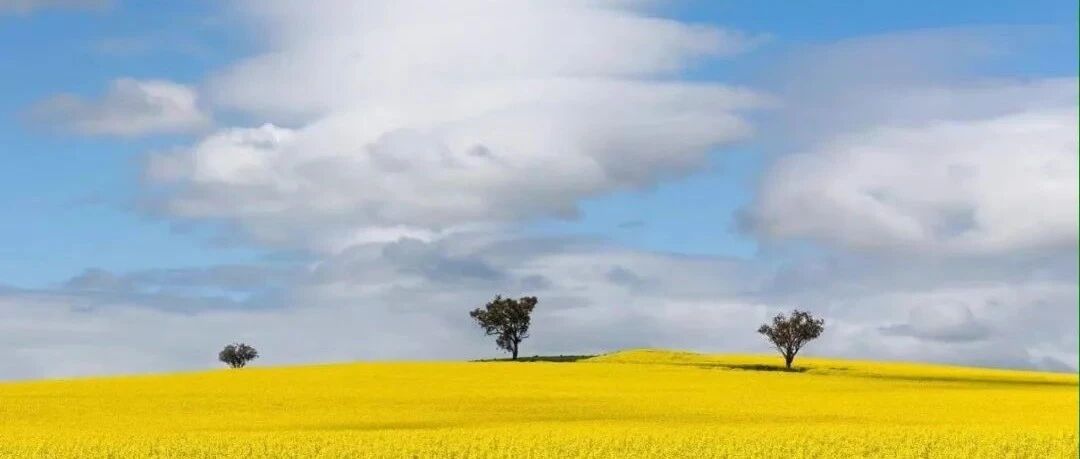 一个人是否见过世面，就看这三点