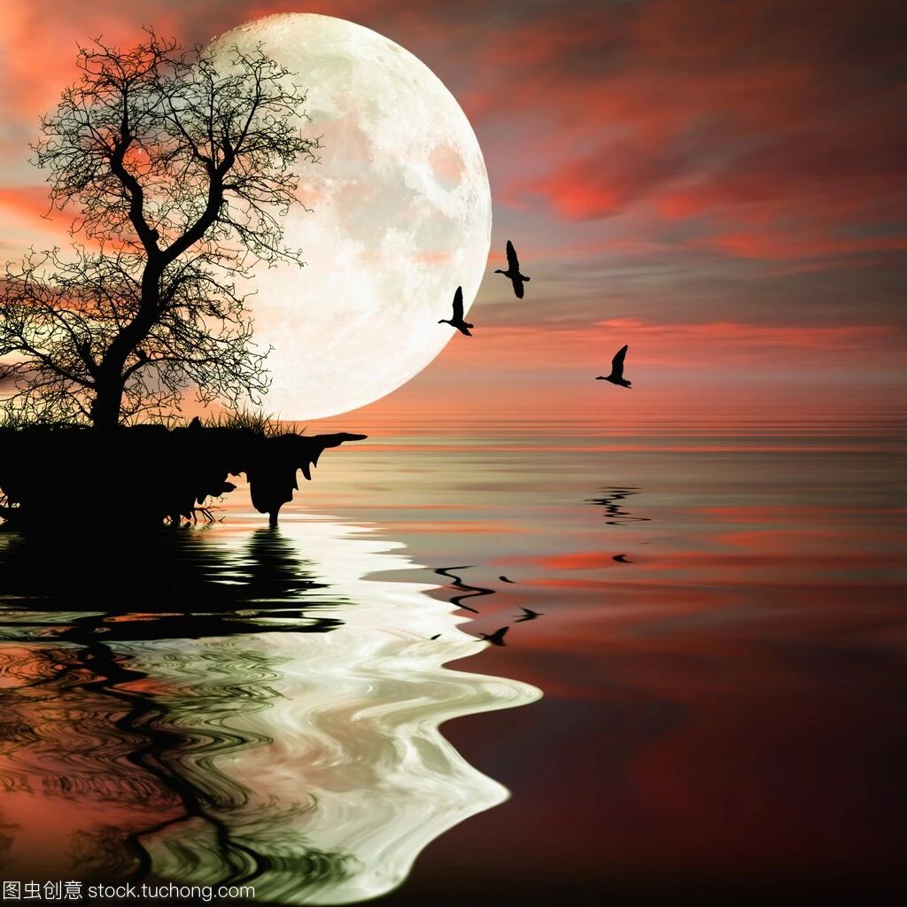 哲思 真正厉害的人 都掌握这3个底层逻辑