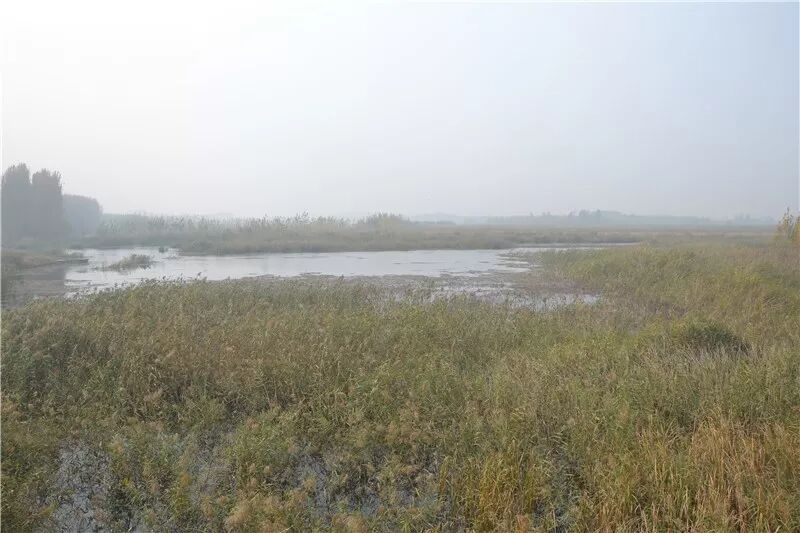 上梁山看看,自愿的 图片