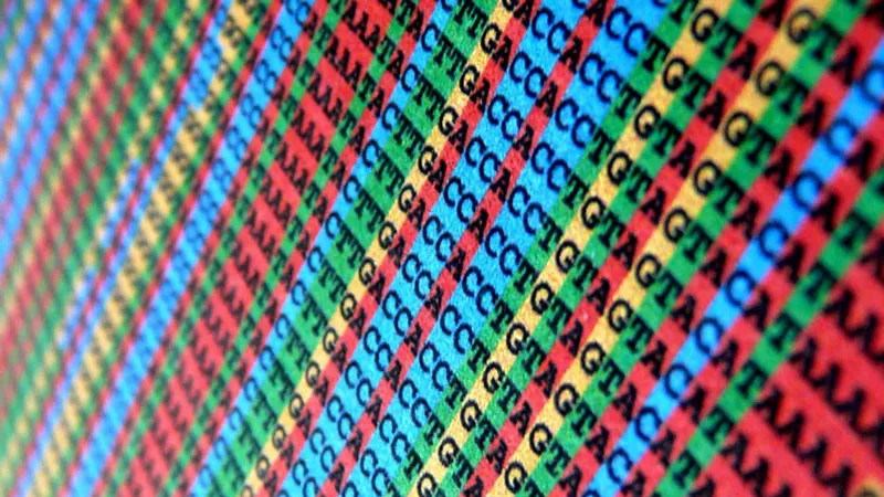 《科学》公布 2017 年度十大突破 《科学》公布 2017 年度十大突破