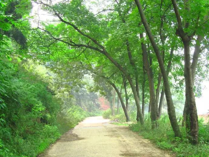 洪雅县属于哪个市_建三江属于市还是县_老河口是属于县还是市