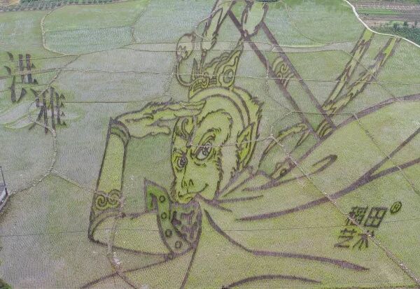 洪雅县属于哪个市_建三江属于市还是县_老河口是属于县还是市