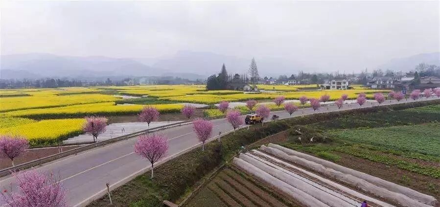 建三江属于市还是县_洪雅县属于哪个市_老河口是属于县还是市