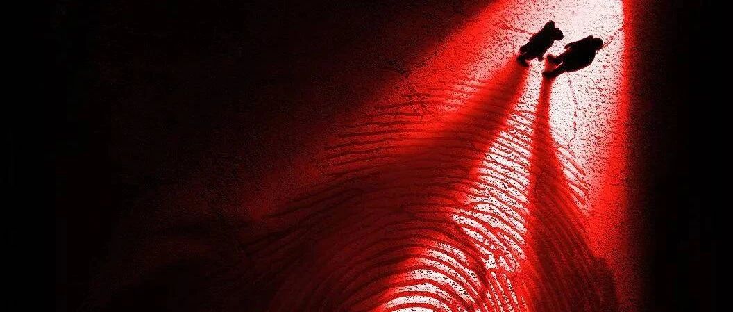 《扫黑风暴》《玫瑰行者》等热播，刑侦剧再次迎来爆发