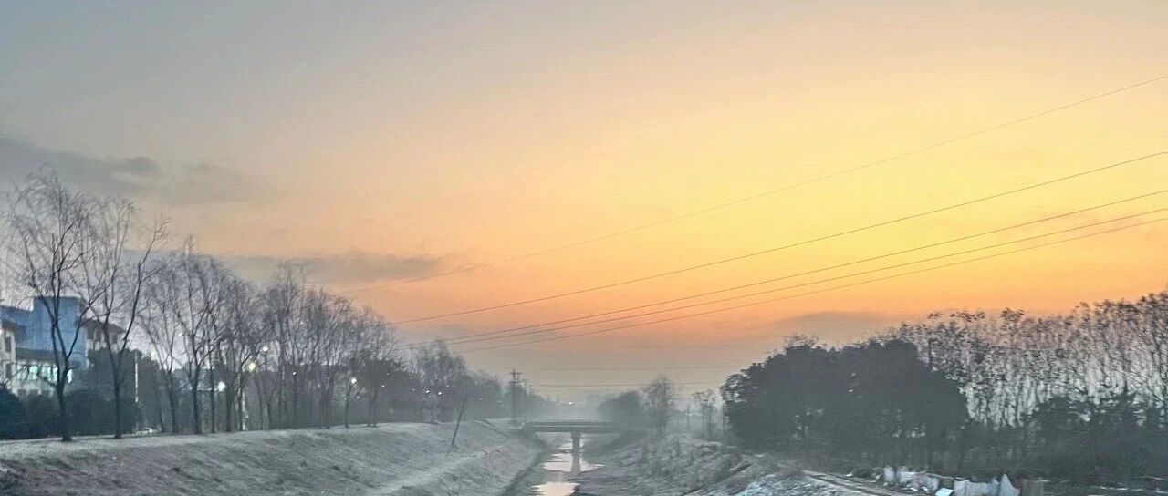 cover_image