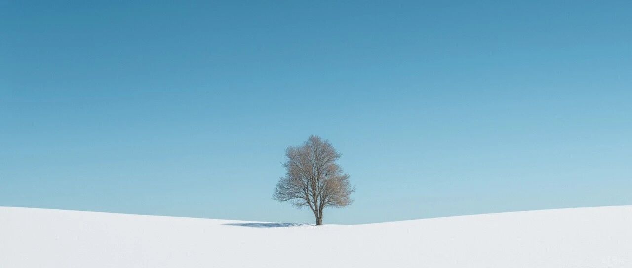 cover_image