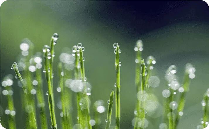 广州旺众教育科技有限公司-汽车教学实训设备，教育装备产品的研发，生产与销售