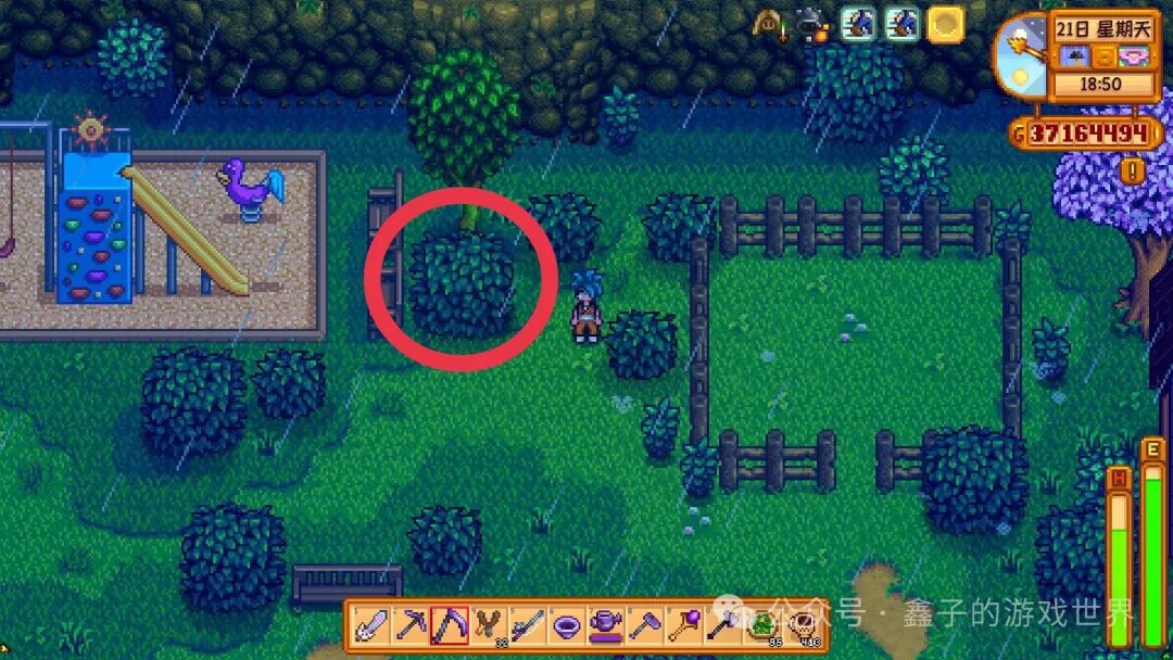 《星露谷物语》特殊物品与技能书籍的获取全攻略