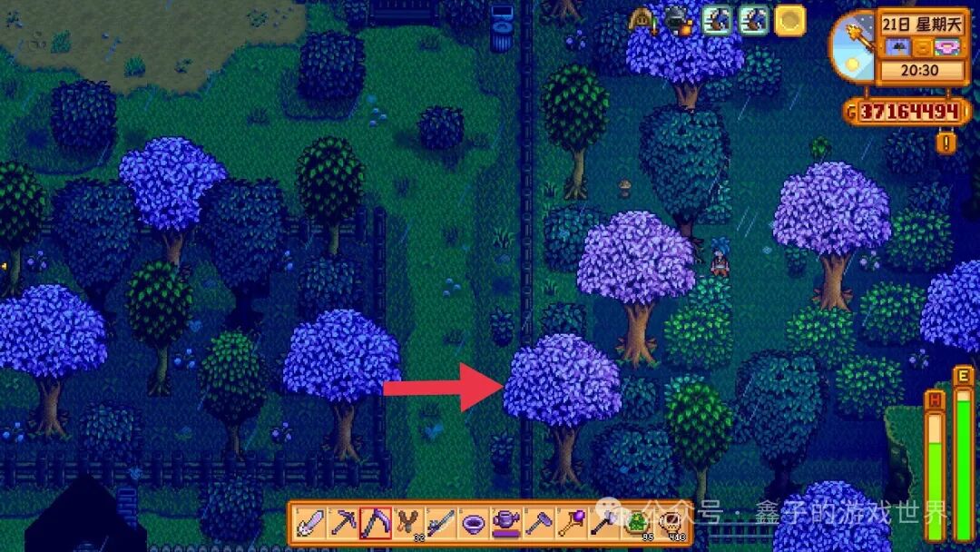 《星露谷物语》特殊物品与技能书籍的获取全攻略