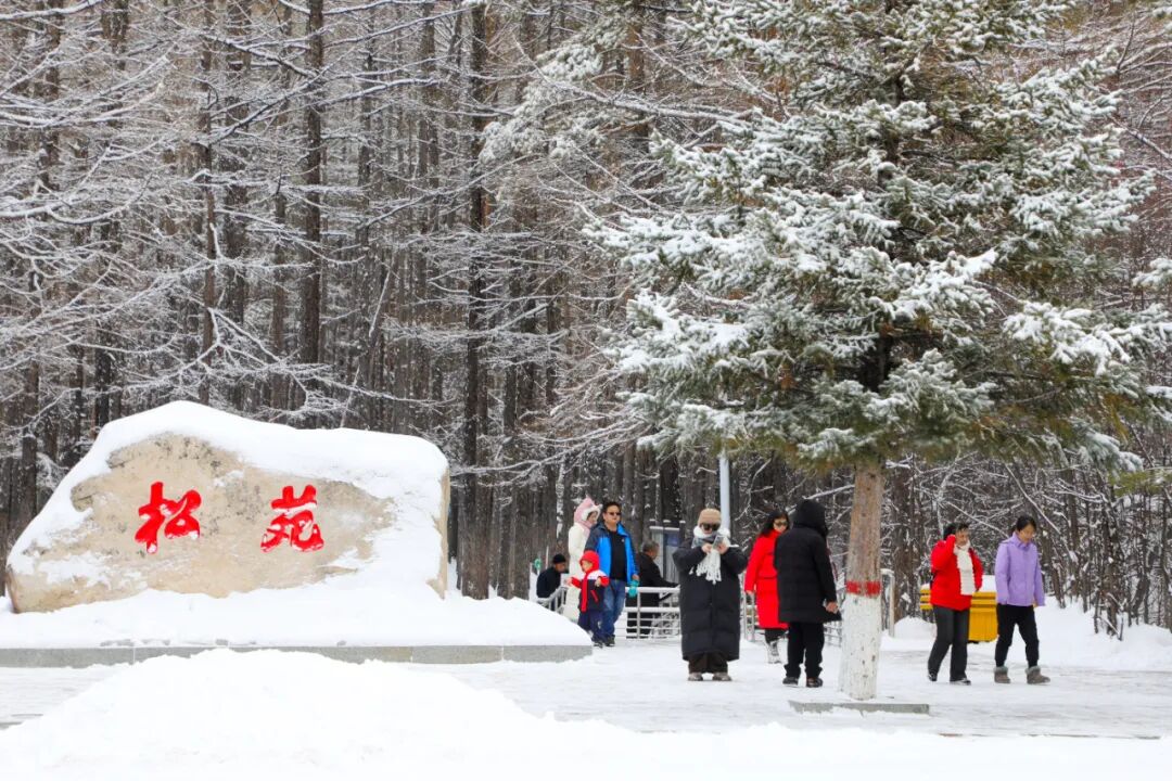 游客在黑龙江大兴安岭打起了雪仗