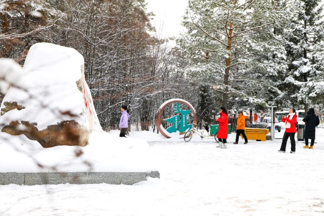 游客在黑龙江大兴安岭打起了雪仗