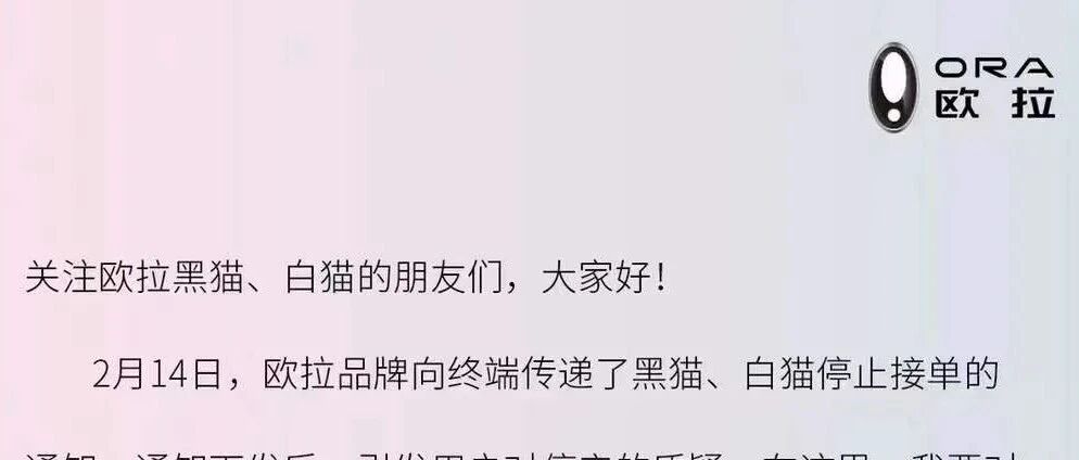 特斯拉带头涨价，欧拉停止接单，新能源汽车卖一辆亏半辆？