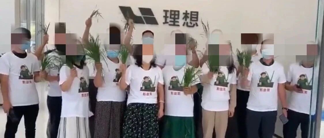 理想车主“举韭菜”维权  新势力造车品牌“韭菜”成团？