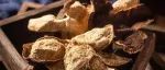 突发！出口欧美订单被迫取消，大量陈皮简直白送！！！