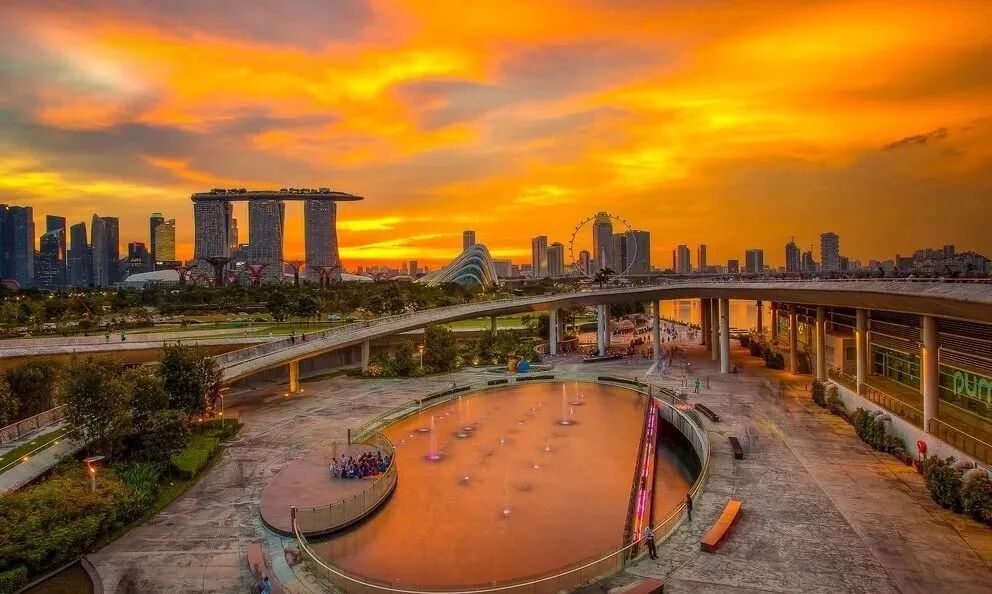 “解封”进行时 | 新加坡移民终于迎来：黄！金！期！