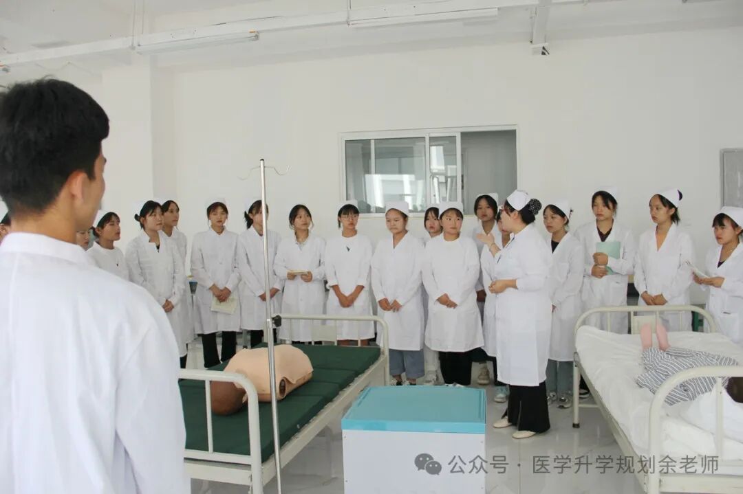 各高校上海錄取分?jǐn)?shù)線排名_各大學(xué)在上海錄取分?jǐn)?shù)線_2024年上海工程技術(shù)大學(xué)錄取分?jǐn)?shù)線(2024各省份錄取分?jǐn)?shù)線及位次排名)