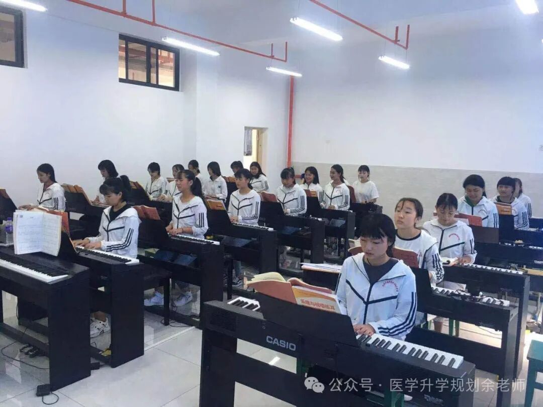 各高校上海錄取分?jǐn)?shù)線排名_2024年上海工程技術(shù)大學(xué)錄取分?jǐn)?shù)線(2024各省份錄取分?jǐn)?shù)線及位次排名)_各大學(xué)在上海錄取分?jǐn)?shù)線