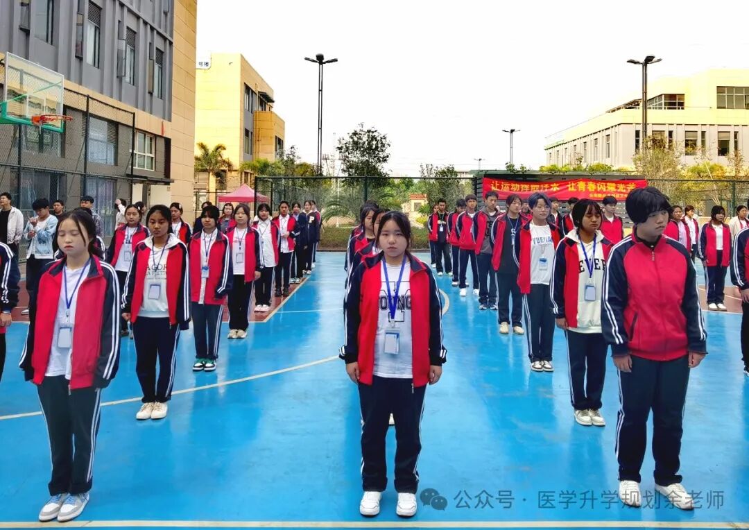 各高校上海錄取分?jǐn)?shù)線排名_2024年上海工程技術(shù)大學(xué)錄取分?jǐn)?shù)線(2024各省份錄取分?jǐn)?shù)線及位次排名)_各大學(xué)在上海錄取分?jǐn)?shù)線