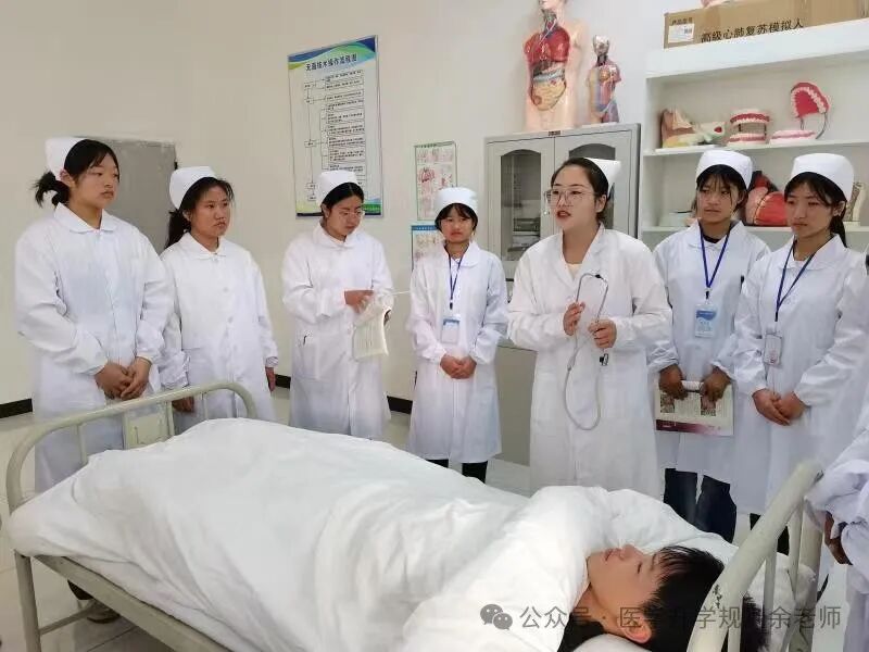 各高校上海錄取分?jǐn)?shù)線排名_各大學(xué)在上海錄取分?jǐn)?shù)線_2024年上海工程技術(shù)大學(xué)錄取分?jǐn)?shù)線(2024各省份錄取分?jǐn)?shù)線及位次排名)