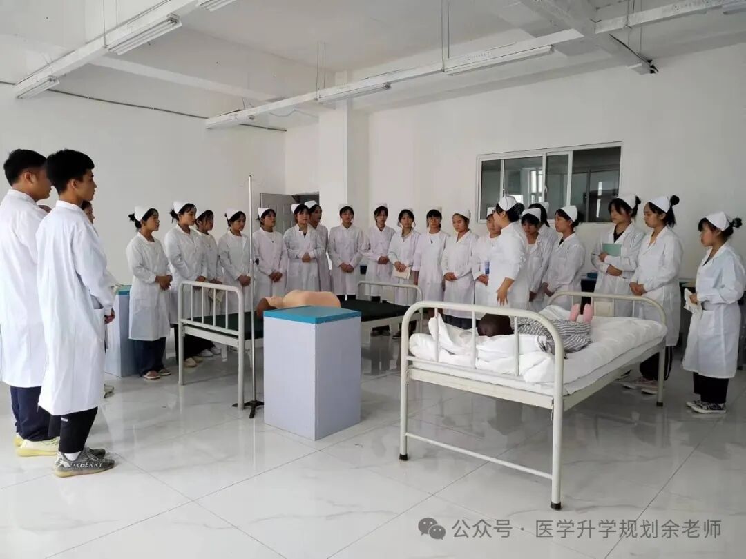 各大學(xué)在上海錄取分?jǐn)?shù)線_各高校上海錄取分?jǐn)?shù)線排名_2024年上海工程技術(shù)大學(xué)錄取分?jǐn)?shù)線(2024各省份錄取分?jǐn)?shù)線及位次排名)