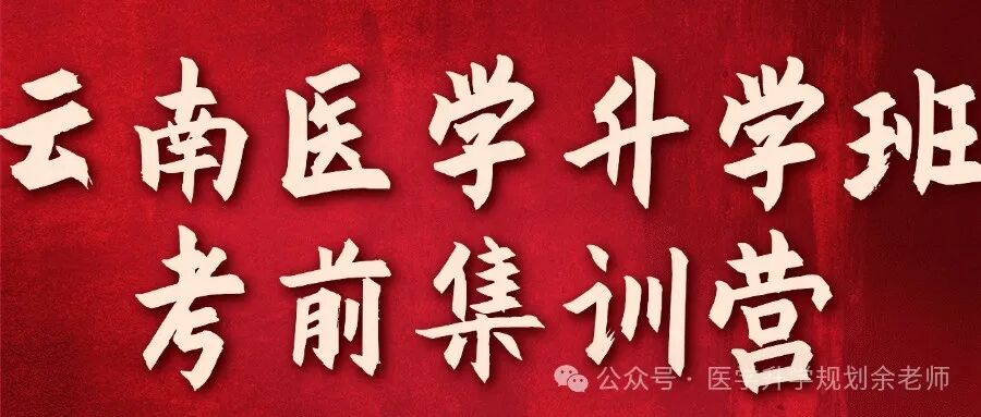各大學(xué)在上海錄取分?jǐn)?shù)線_2024年上海工程技術(shù)大學(xué)錄取分?jǐn)?shù)線(2024各省份錄取分?jǐn)?shù)線及位次排名)_各高校上海錄取分?jǐn)?shù)線排名