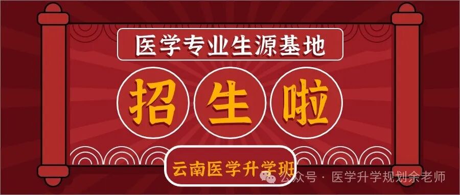 各高校上海錄取分?jǐn)?shù)線排名_2024年上海工程技術(shù)大學(xué)錄取分?jǐn)?shù)線(2024各省份錄取分?jǐn)?shù)線及位次排名)_各大學(xué)在上海錄取分?jǐn)?shù)線