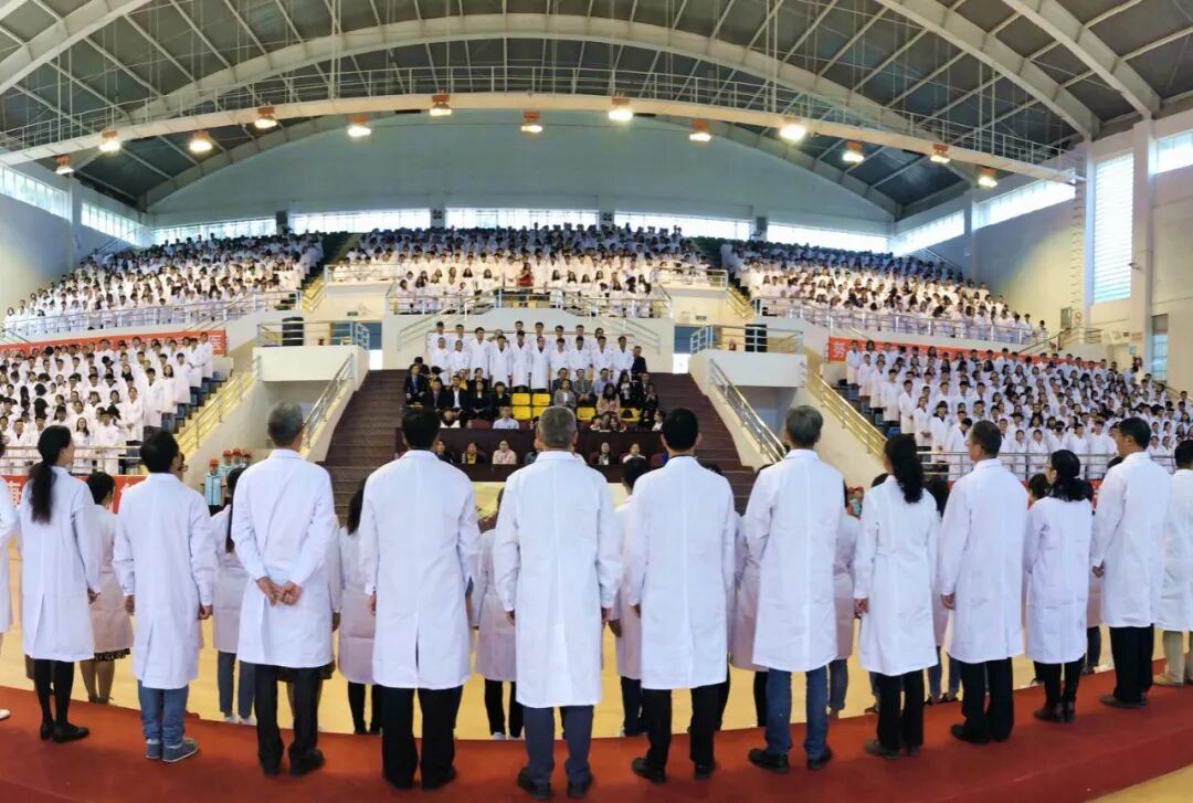 2024年上海工程技術(shù)大學(xué)錄取分?jǐn)?shù)線(2024各省份錄取分?jǐn)?shù)線及位次排名)_各高校上海錄取分?jǐn)?shù)線排名_各大學(xué)在上海錄取分?jǐn)?shù)線