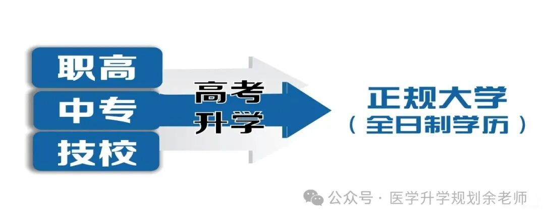 2024年上海工程技術(shù)大學(xué)錄取分?jǐn)?shù)線(2024各省份錄取分?jǐn)?shù)線及位次排名)_各大學(xué)在上海錄取分?jǐn)?shù)線_各高校上海錄取分?jǐn)?shù)線排名