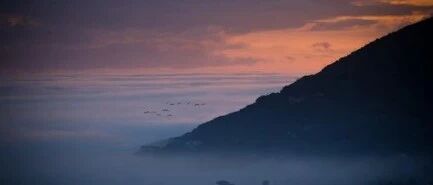 20亿用户待唤醒，腾讯手游助手背后的模拟器市场不容忽视