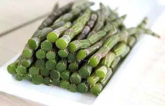 【央视报道】这些疾病，都是铁皮石斛的治疗对象！