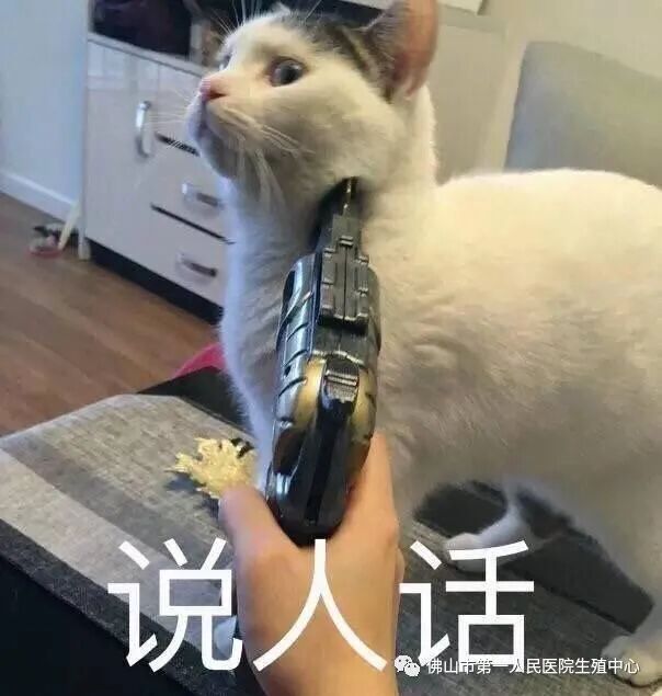 性功能检测仪是什么前沿高科技检测“男”言之隐——Rigiscan勃起功能检测仪在市一医院男科的应用_https://www.jmylbn.com_新闻资讯_第2张