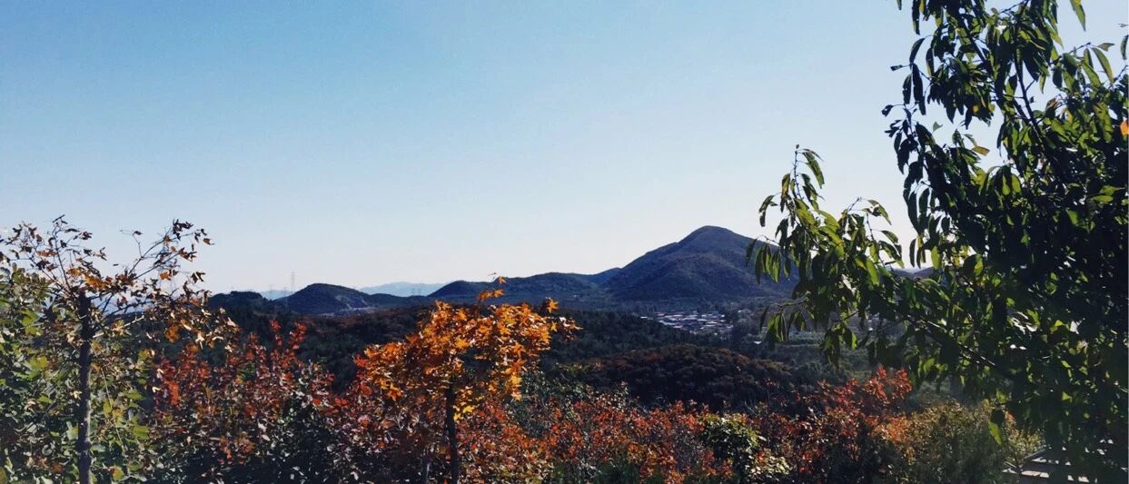 秋风起，树叶红，去看了一些风景