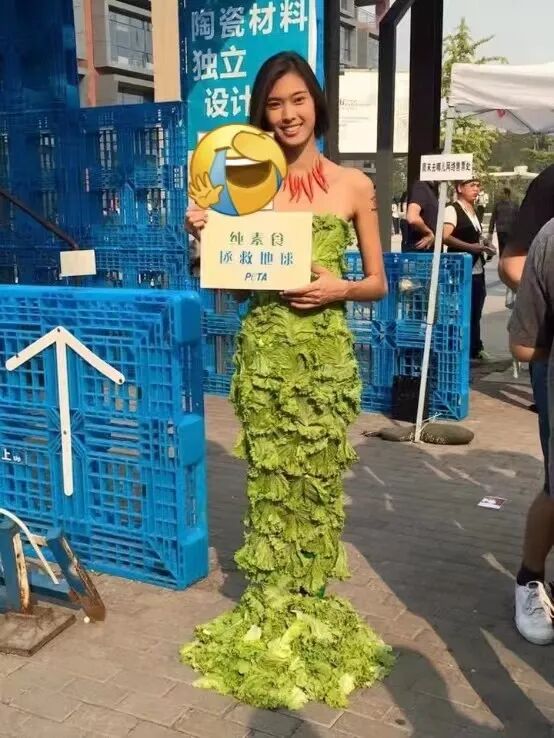 一个北京姑娘在澳大利亚的素食追梦路（组图） - 12
