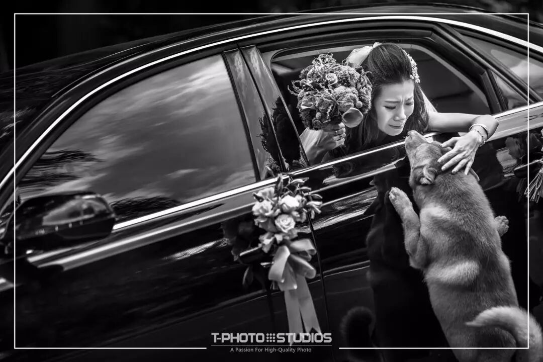 摄影师说，最美的照片，是38°C。