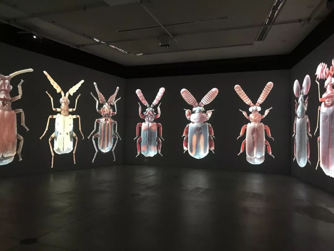 图集 光明美术馆 未来艺术学 展览现场策展档案展览档案艺术档案