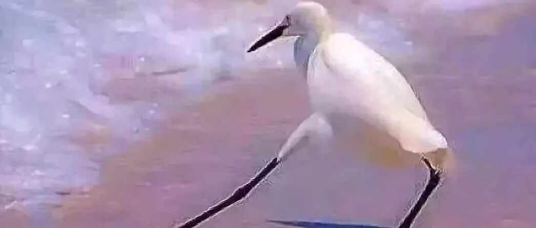 2022了，在违法边缘试探的开发者还有这些骚操作？