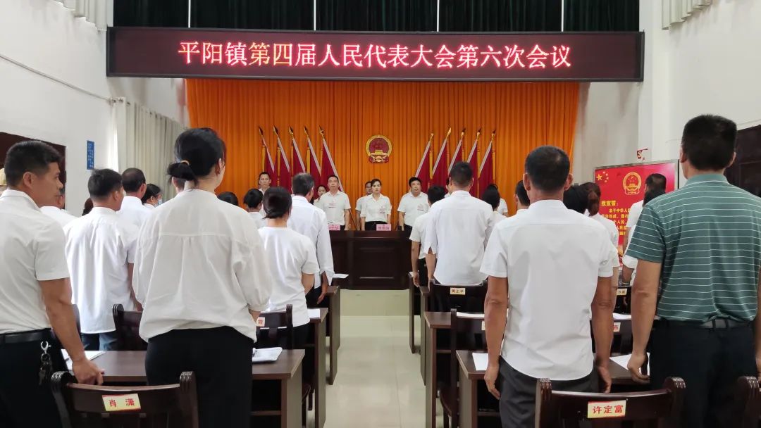 平阳镇第四届人民代表大会第六次会议胜利召开