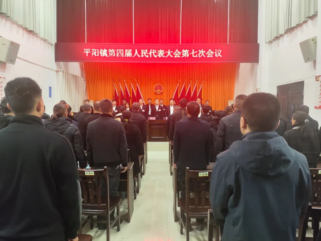 平阳镇第四届人民代表大会第七次会议胜利召开
