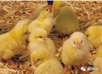 ������ֳ�豸