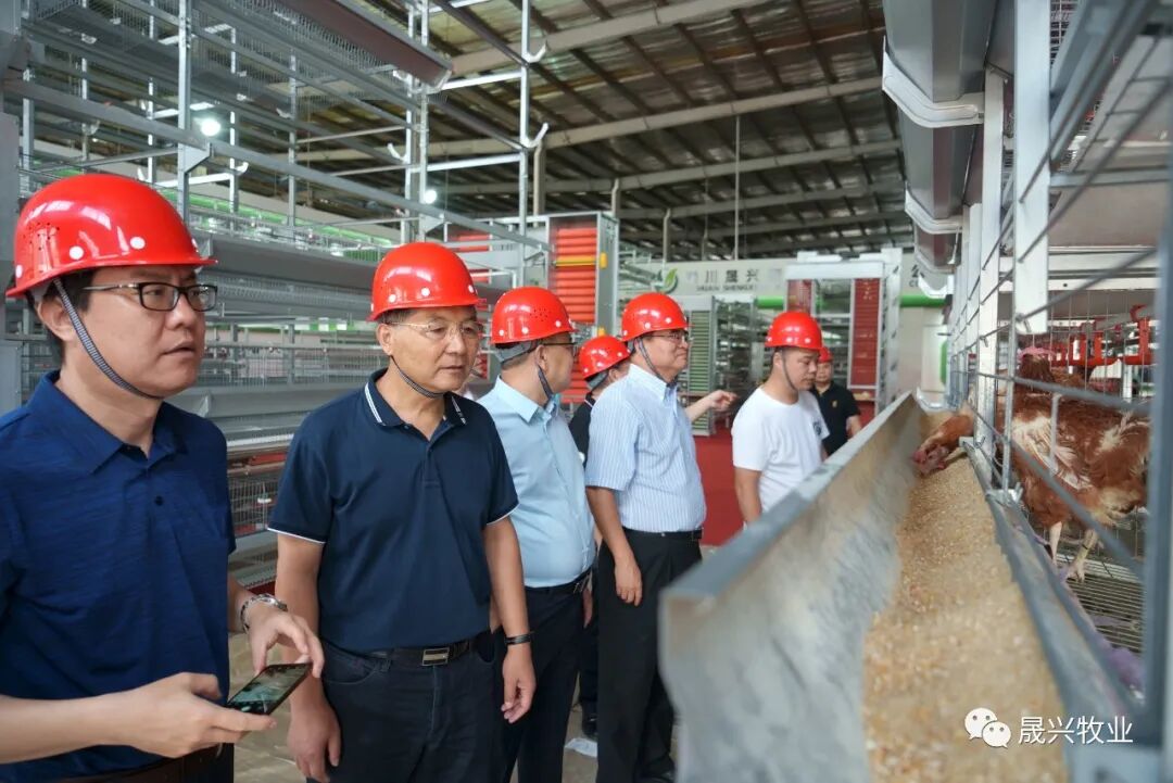 佰利乐·(中国区)有限公司官网