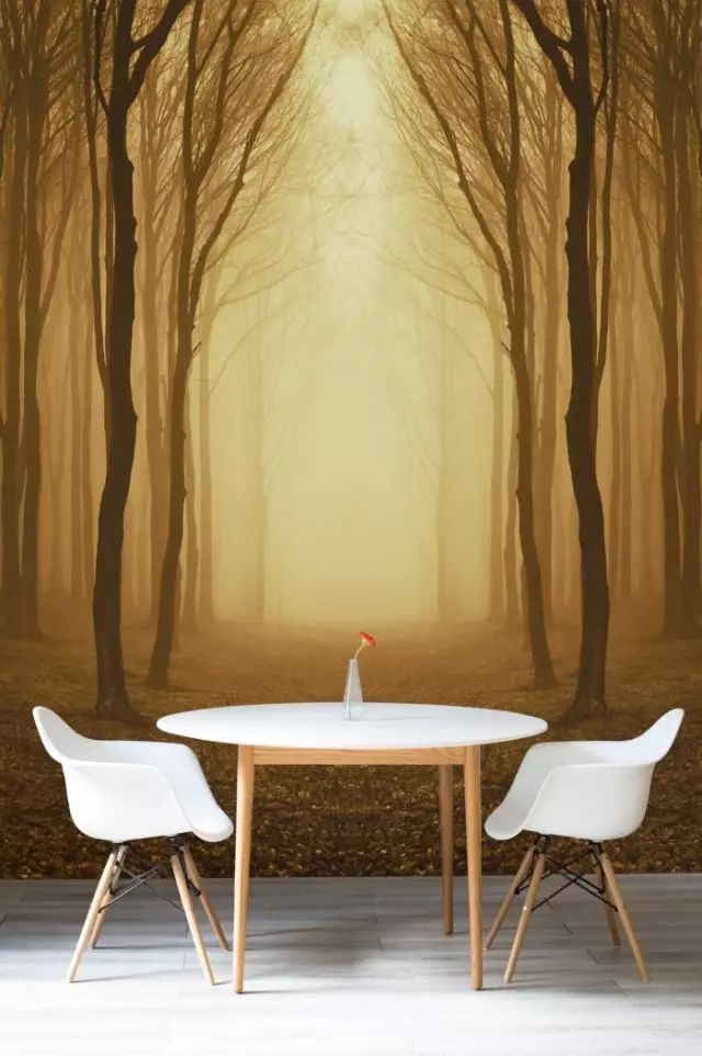 一紙遮百醜 它就是你家的美顏神器 裝修情報 微文庫