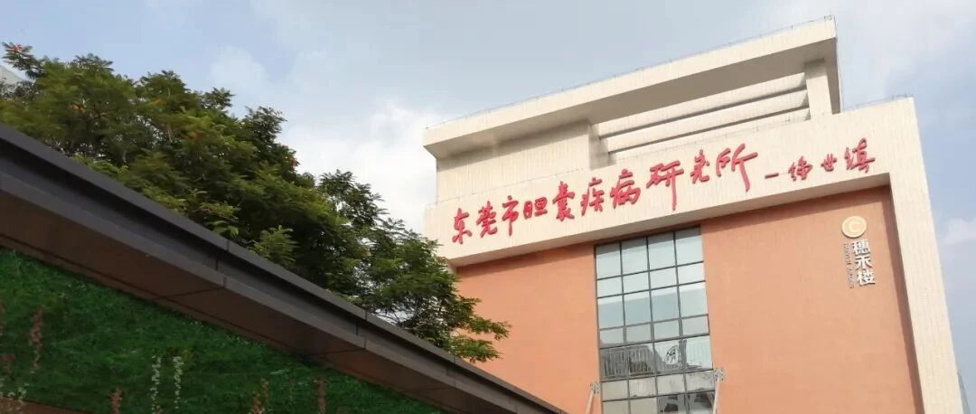 一家二级医院的转型之路