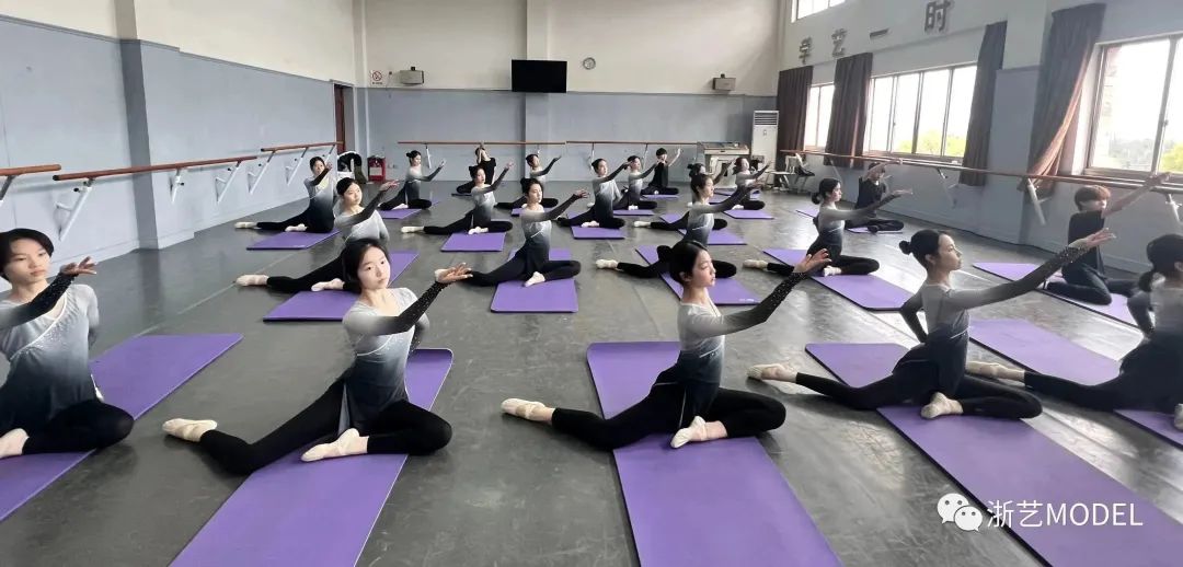 邯郸学院2019艺术招生_浙江传媒大学艺术招生_浙江艺术职业学院招生网